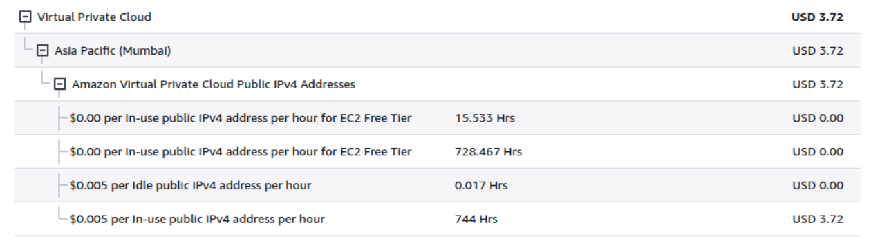 AWS Billing Screenshot – Public IP Charges